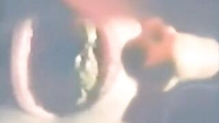 Dutch Vintage & Hot Scat