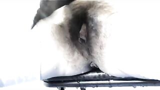 Kinky couple tease and piss hot closeup