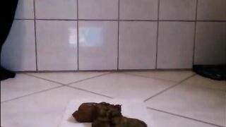 Milf shitting a nice quantity