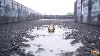 ON TOUR Two pits one girl show