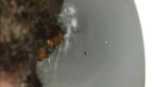 Poop toilet compilation
