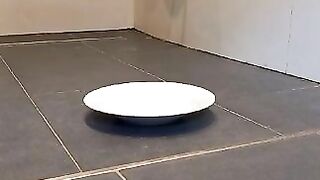 Shitting together in style