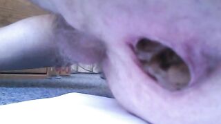 Solid Brown Poop Closeup