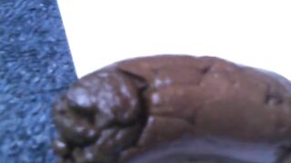 Solid Brown Poop Closeup