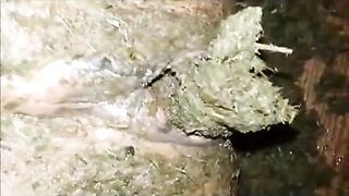 Special shit eating and pussy stuffing-show