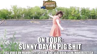 Sunny Day In Pig Shit Play
