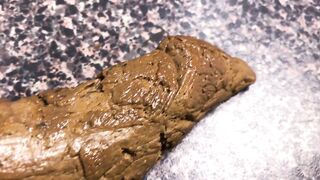 Morning Poo for Your Enjoyment