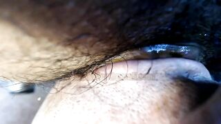 Thanksgiving dinner closeup