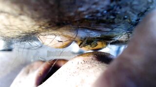 Thanksgiving dinner closeup