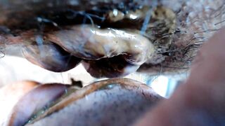 Thanksgiving dinner closeup