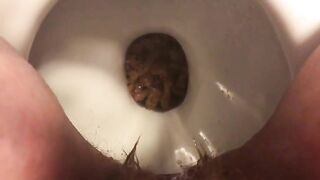 Toilet Poop POV