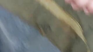 Winter scat flashing clip