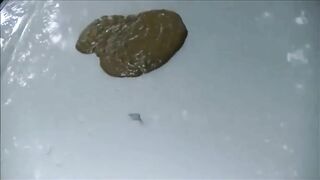 Brunette pissing and shitting on the old car