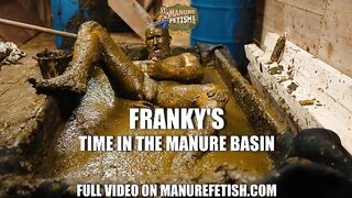Frankys Time in the manure basin -Scat