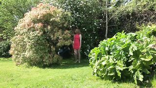 Green garden and hot shit