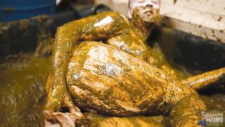 Manure Health Cure with Lyndra Lynn in the cowshit