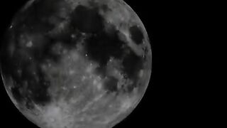 Brunette gal Patrecia play with scat