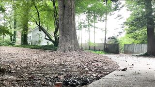 Walk in the park for shitting