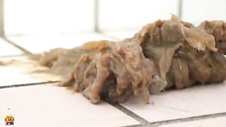 Chubby girl and fat pussy