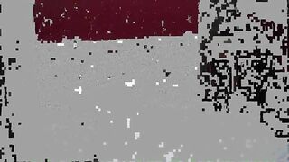 Turds in the yard on the snow