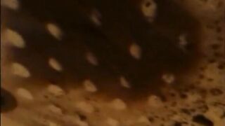 Woman shitting very liquid diarrhea in the shower