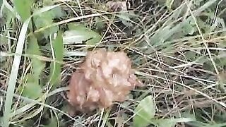 Gorgeous lady shitting hard in the grass