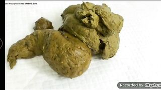 Fat chick squats and takes a massive shit on toilet
