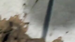 Asian lady splashing shit in the toilet