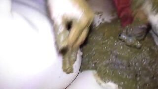 Girl takes a huge shit in a bathtub