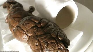 A gigantic turd