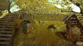 Woman swims in filthy shit and piss