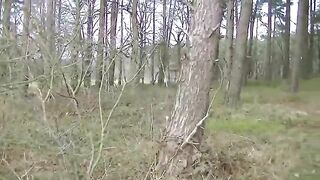 Big dump in roadside woodland 