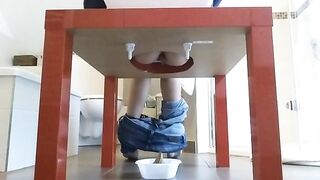 Home made toilet