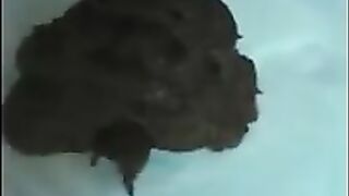 Hot Girl Poop On The Floor