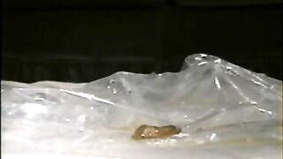 Little quickie poop
