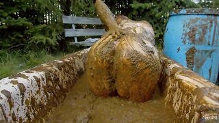 Lyndra Lynn bathing in Cowshit