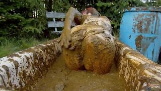 Lyndra Lynn bathing in Cowshit