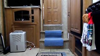 Michelle Short Skirt Poo