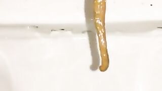 Long shit in toilet