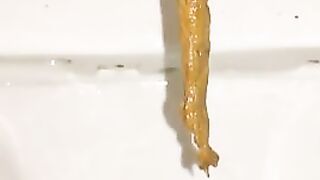 Long shit in toilet