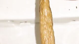 Long shit in toilet