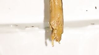 Long shit in toilet