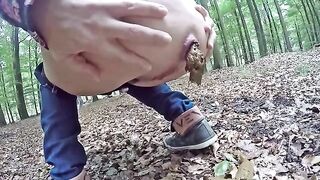 On the forest floor