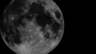 Patrecia play with hot shit