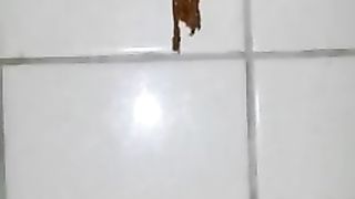 A big of shit was all that is left