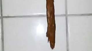 A big of shit was all that is left