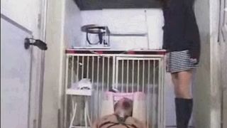 japanese toilet scat trainee pooped in his mouth