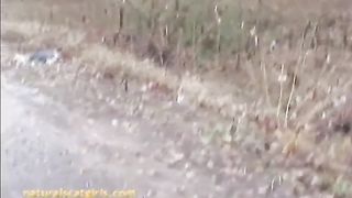 Pooping together in the road