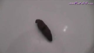 Leaving a cute turd in the hotel shower floor