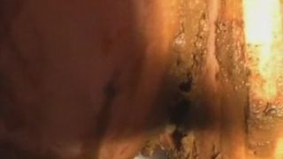 Fresh and warm shit smearing
